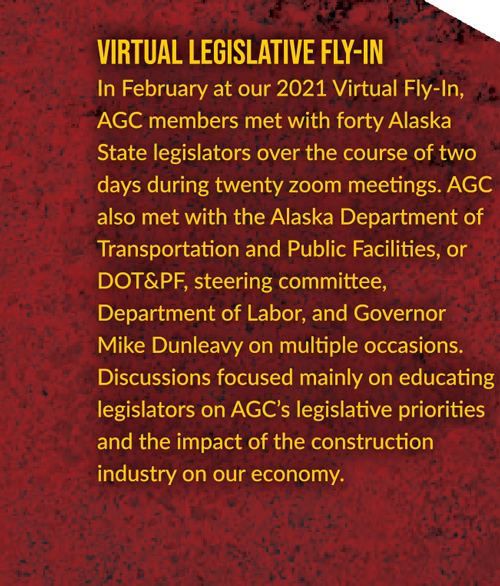 Virtual Legislative Fly-In