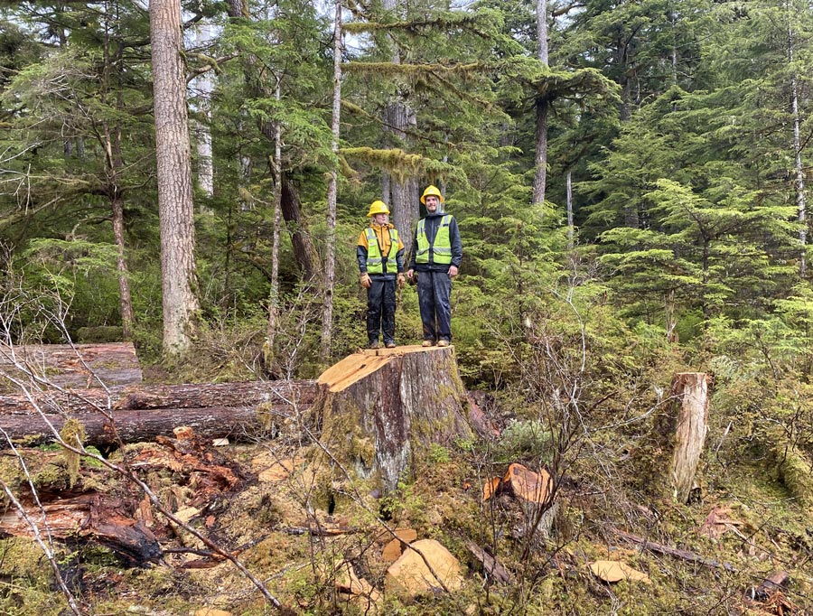 two construction workers standing on a tree stump