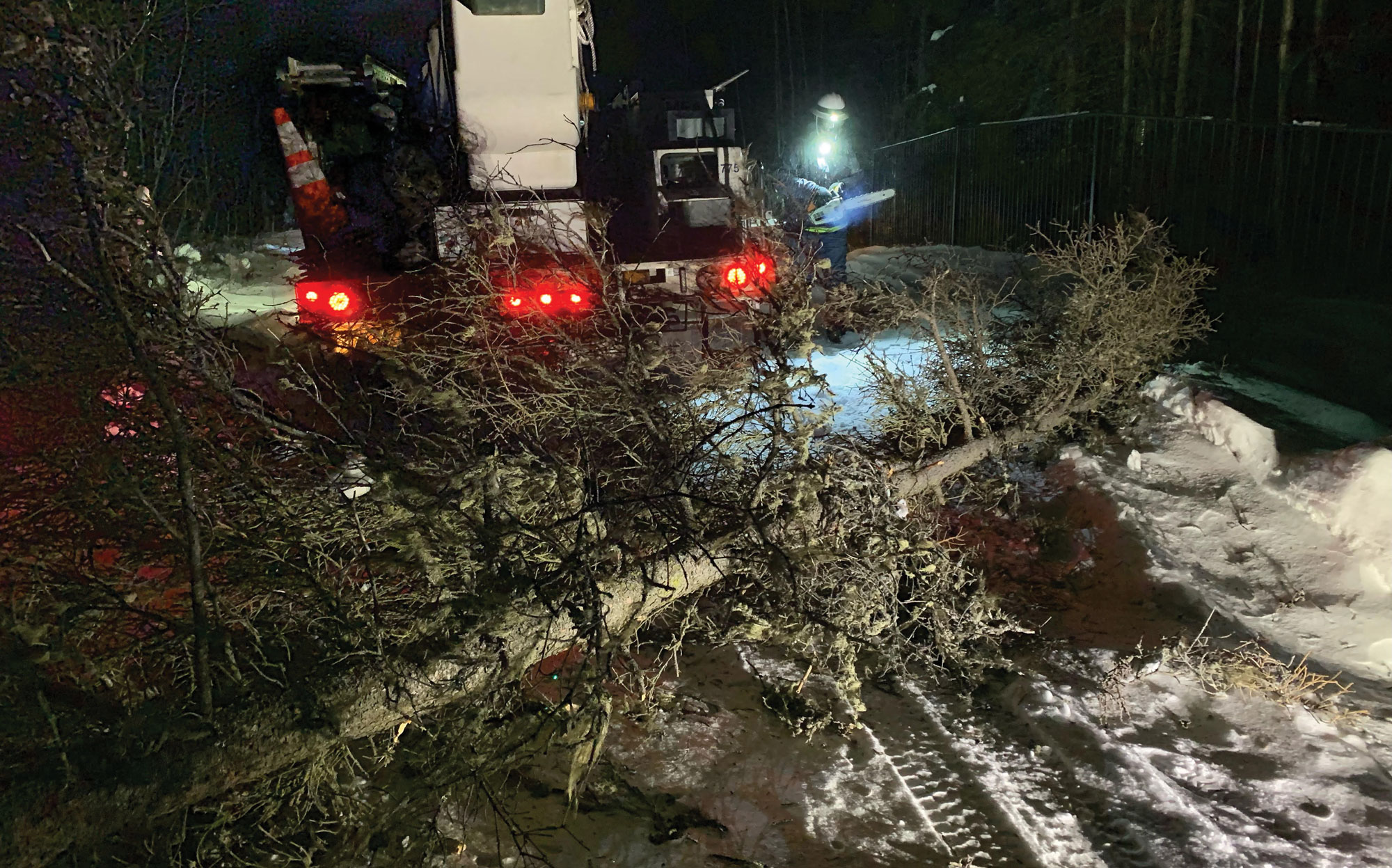 Though other parts of Alaska also experienced wind storms in January, the number of uprooted trees on power lines in the Mat-Su Valley far outnumbered those in other areas