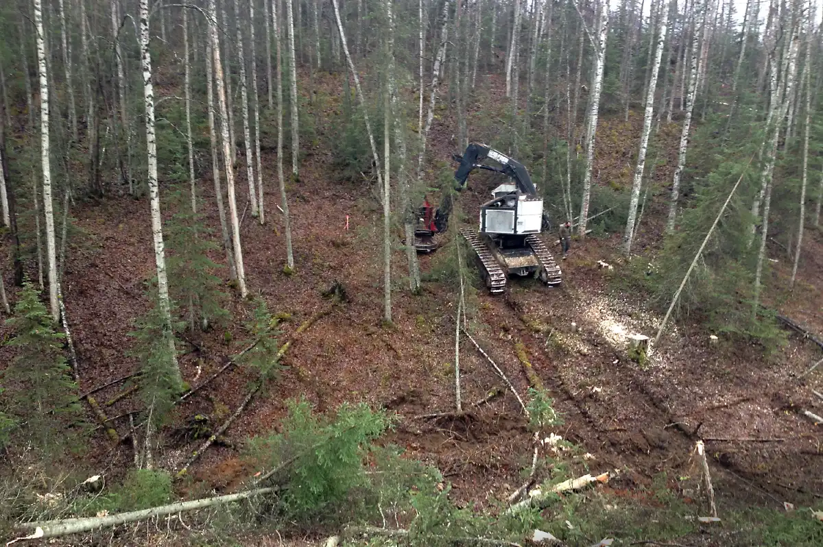 Heavy machinery, including an excavator, engaged in tree clearing and logging operations on a sloped, wooded terrain for a Bond Brothers LLC subcontracting project