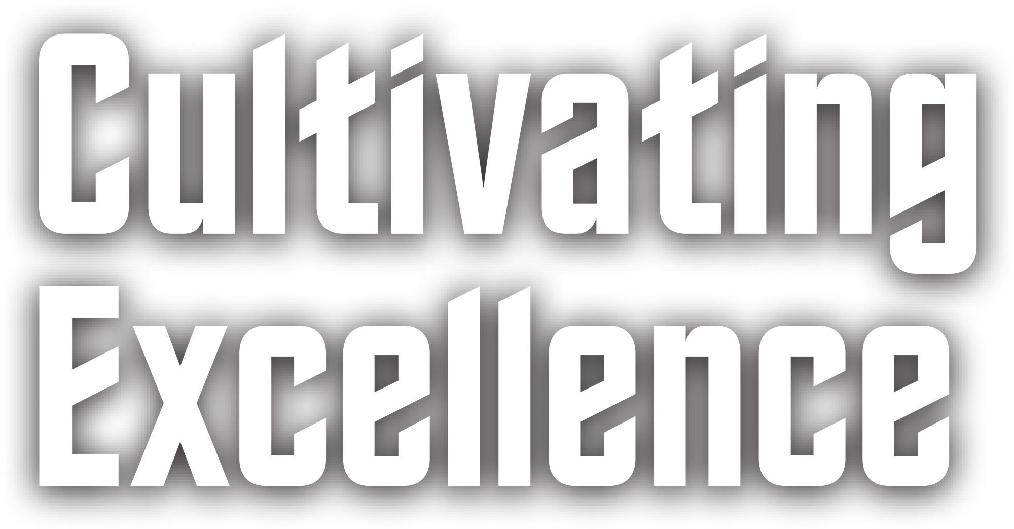 Cultivating Excellence